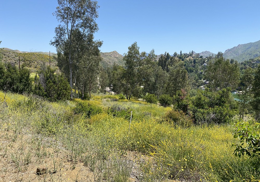 29704 Triunfo Dr, Agoura Hills, CA 91301